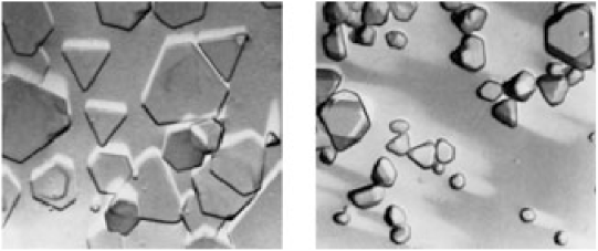 KODAK T-GRAIN emulsion and Conventional silver-halide crystals