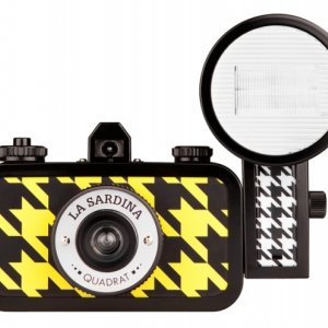 La Sardina Quadrat
