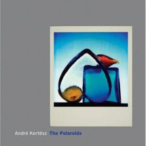Andre Kertesz The Polaroids