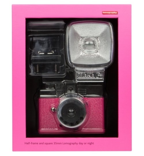 Diana Mini En Rose
