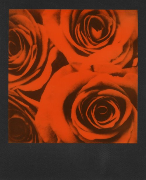 Black & Orange кассеты 600 DUOCHROME
