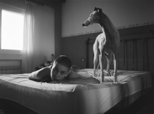 Ilford HP5 Plus 400 творча фотографія 