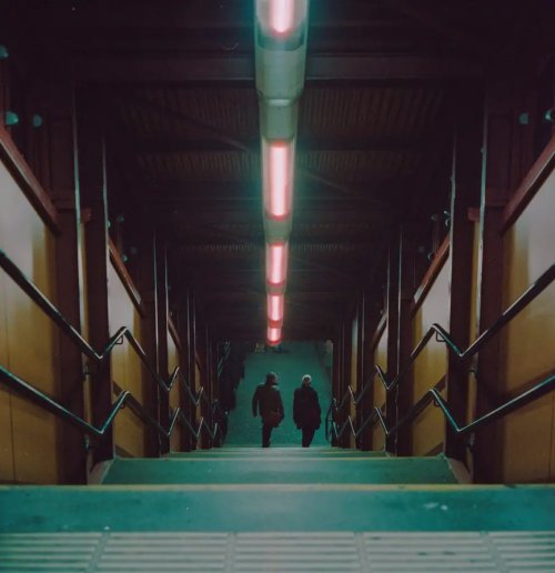 CineStill 800T Rolleiflex 2.8f 