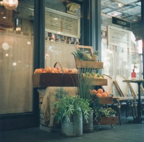 CineStill 800T Yashica D TLR
