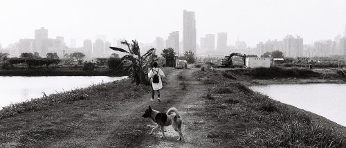 Cinestill BwXX Double-X Nikon F100