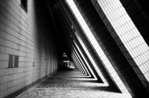 Lomography Earl Grey B&W ISO 100 Lomo LC-A+