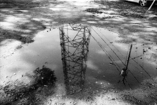 Lomography Earl Grey B&W ISO 100 Nikon FT2
