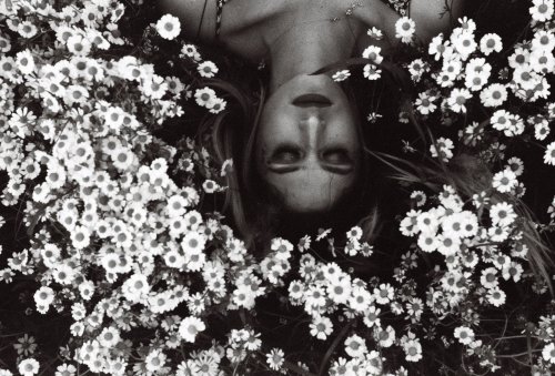 Lomography Earl Grey B&W ISO 100 Voigtlander Vito CLR