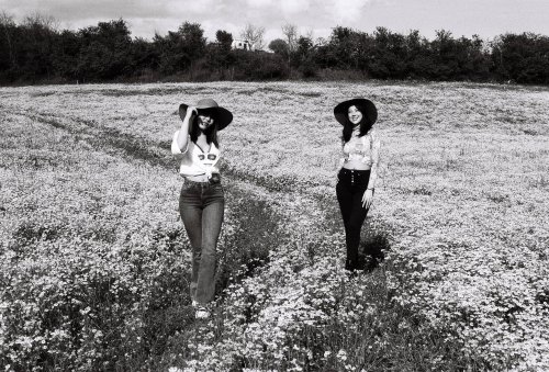 Lomography Earl Grey B&W ISO 100 Voigtlander Vito CLR