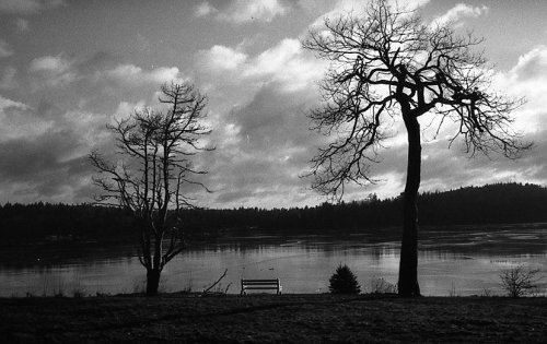 Holga 400 чорно-біла плівка 35мм