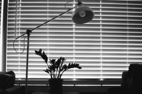 плівка Ilford FP4 Plus 35