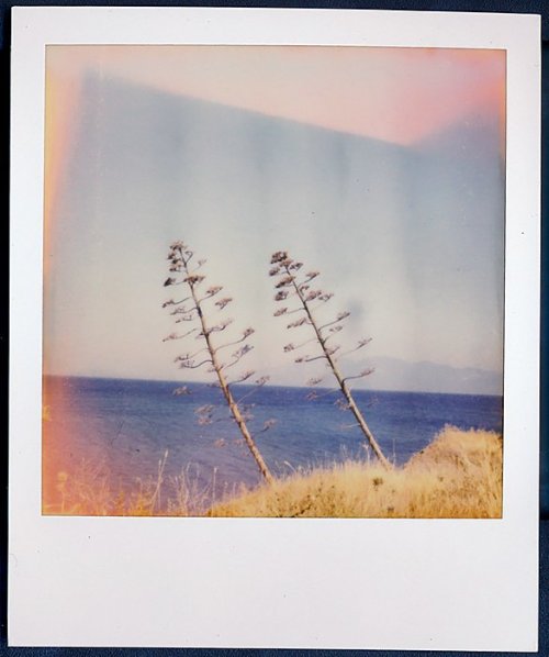PX 70 Color Shade Cool