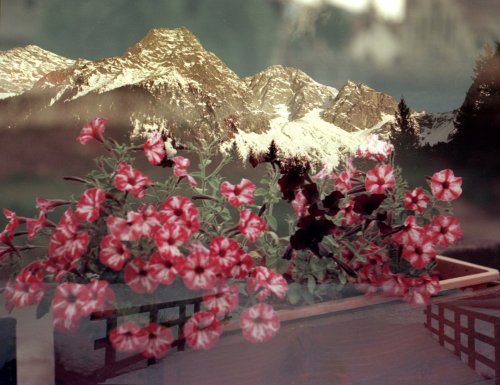 Nikon FM2