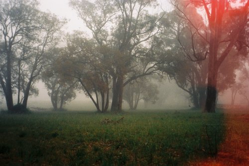Pentax Espio 60S
