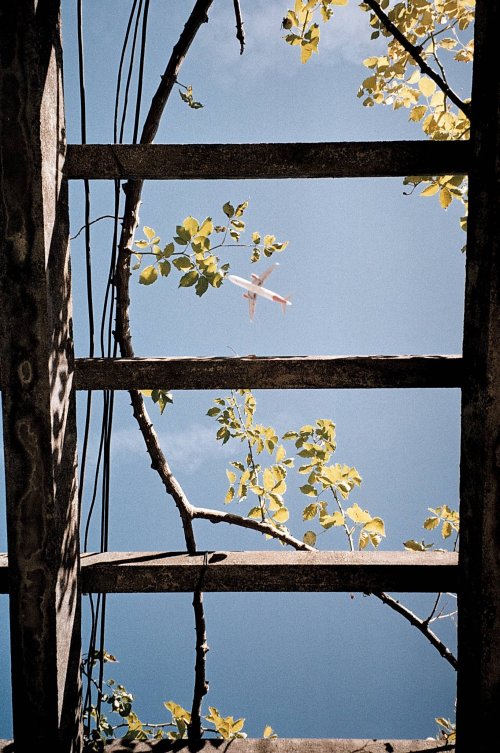 Kodak Gold 200