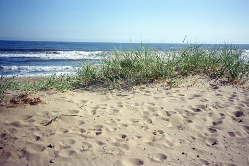 Pentax ESPIO 738S
