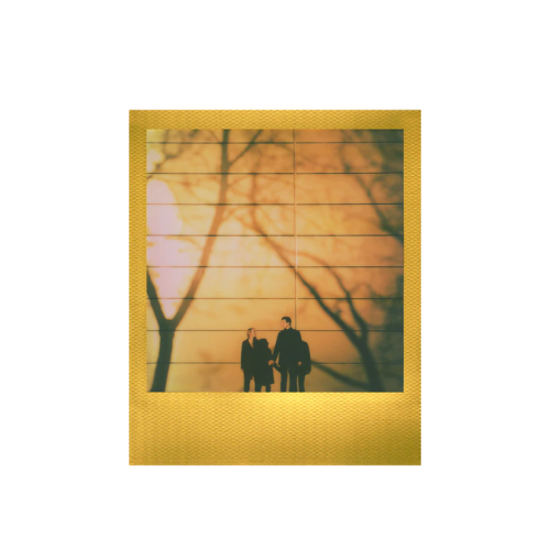 polaroid кассеты украина кассета на полароид 