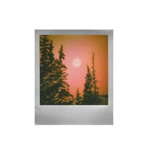 Polaroid i-Type цветная пленка - золотая/серебряная рамка 16 фото