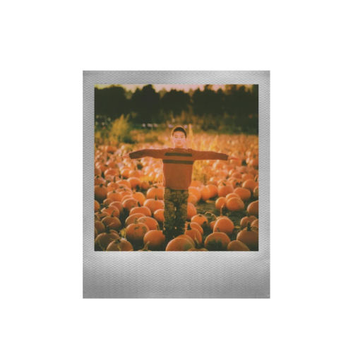 Polaroid i-Type цветная пленка - золотая/серебряная рамка 16 фото