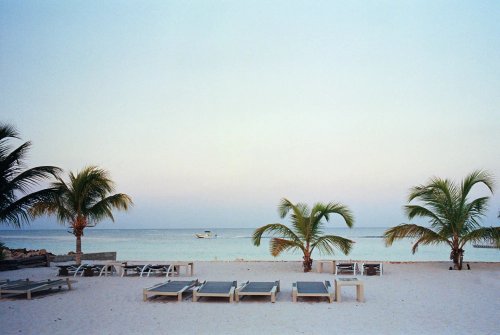 Kodak Professional Portra 800 кольорова 36 кадрів 