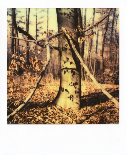 Касета SX-70 color
