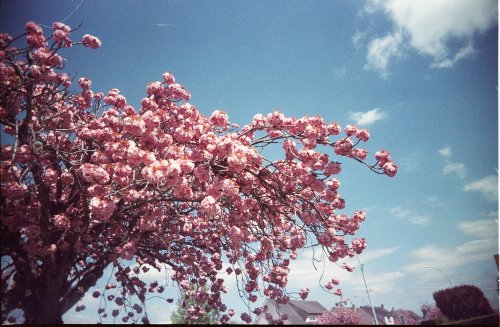 Reto Project Ultra-Wide & Slim Kodak Ultra 400 expired
