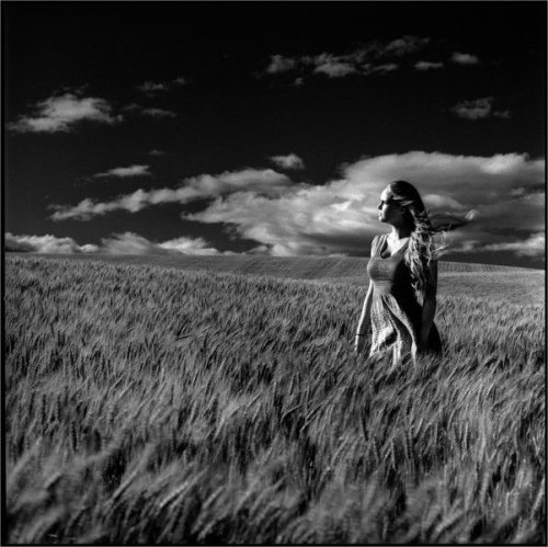 Rollei Infrared 400 чорно біла плівка (35мм 36 кадрів)