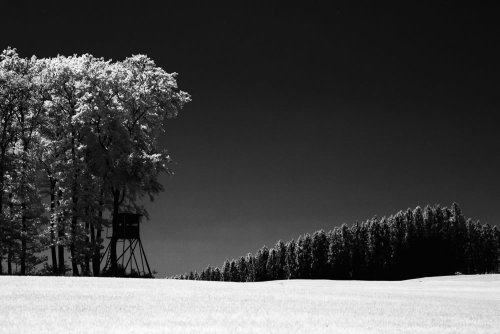 rollei infrared 400 - mamiya rb67