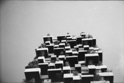 Samsung Slim Zoom 115S Cinestill bwXX 