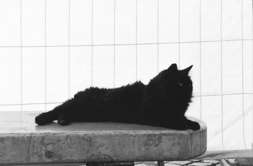 Samsung Slim Zoom 115S Kentmere Pan 400