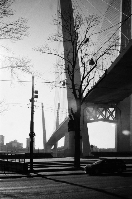 Samsung Slim Zoom 115S Kentmere Pan 400