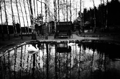 Agfa Aviphot PAN 200